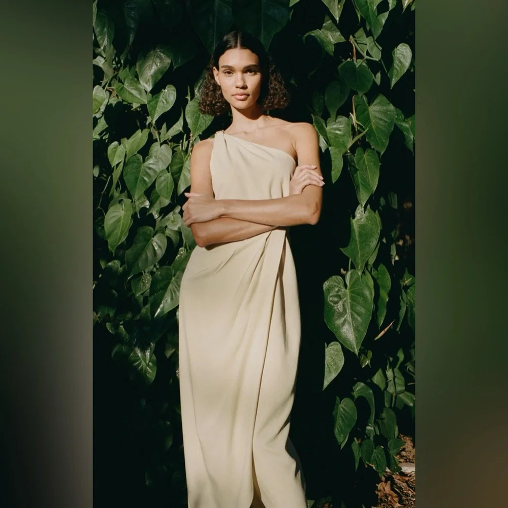 NWT ZARA CUT OUT MIDI DRESS - Picture 3 of 9